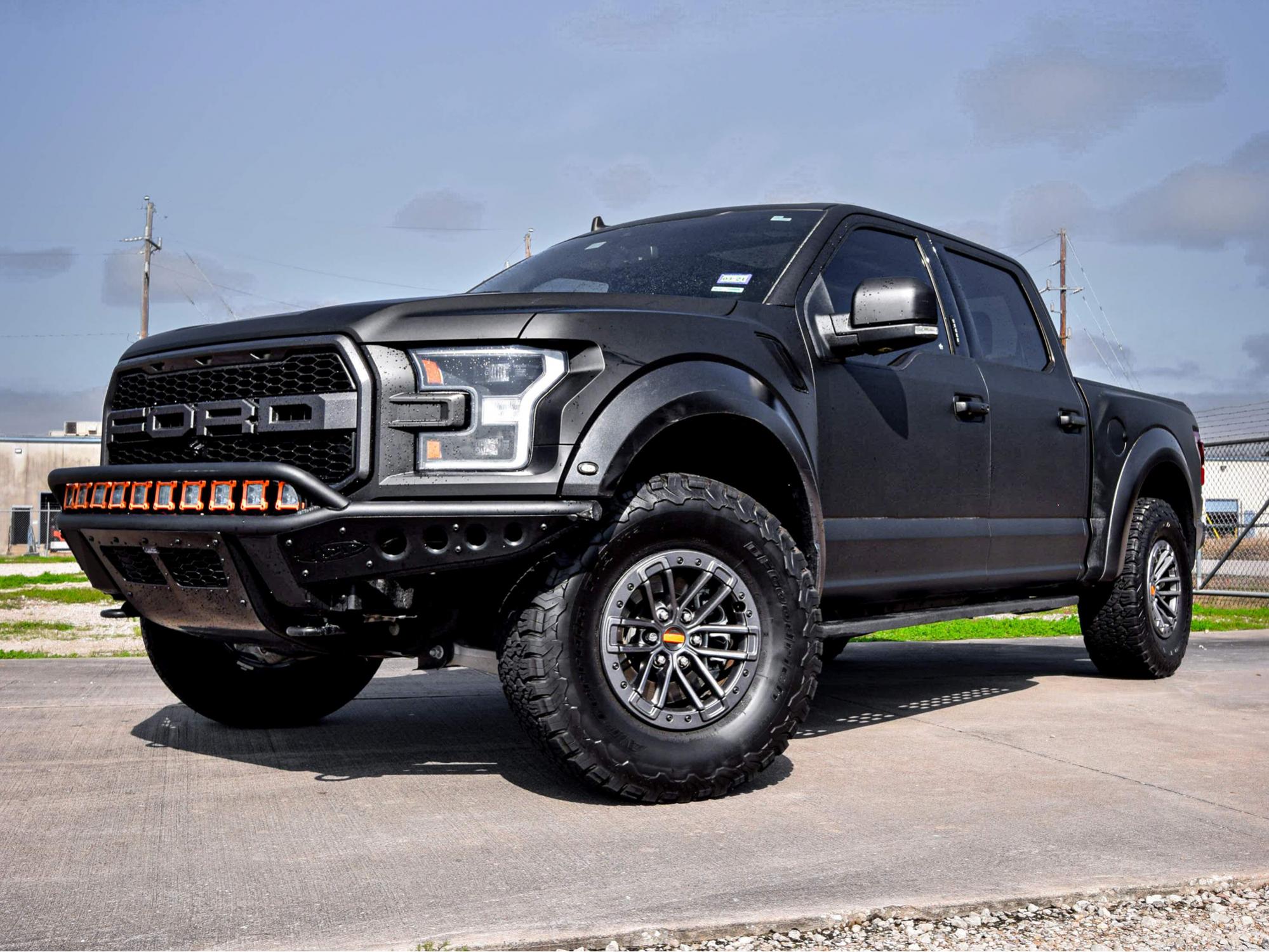 Raptor